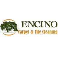Encino Carpet & Tile Cleaning image 1